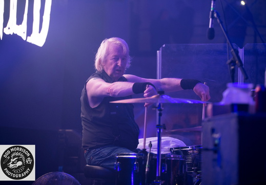 the Damned Rebellion 2025 